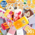 手作りアイスキャンデー 12種類セット 合計36本