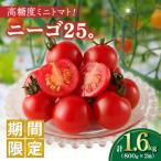 fu.... налог столица сельское хозяйство блок предшествующий прием { время ограничено } высота сахар раз мини помидоры [ колено go25.]( итого 1.6kg) _T040-0021