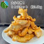 大分名物 とり天セット 約3.0kg