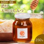 ミニストック 熟成 濃厚はちみつ 250g