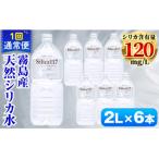 Silica117 2L×6本