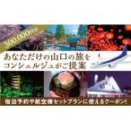 A002 山口オーダーメイド旅行プラン 300000円分