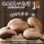しいたけ 1kg