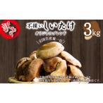 訳あり 生しいたけ 3kg