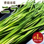 ニラ 1kg