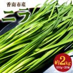 ニラ 2kg