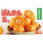 訳あり ぽんかん 5kg