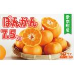 訳あり ぽんかん 7.5kg