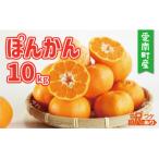 訳あり ぽんかん 10kg