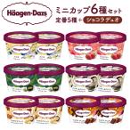 ふるさと納税 浜中町 ハーゲンダッツ『ミニカップ12個セット(定番フレーバー&ショコラデュオ味)』_H0016-004