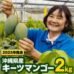 ふるさと納税 南風原町 【2025年発送】沖縄県産キーツマンゴー2kg