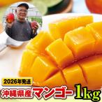 ふるさと納税 南風原町 【2026年発送】濃厚な甘さ!とろける食感!沖縄県産マンゴー1kg