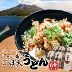 桜島フェリー名物 てんこ盛りごぼ天うどん6食セット