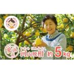 あいなんマザーズの河内晩柑 5kg