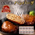 大分の恵みハンバーグ約1.6kg 約160g×10個