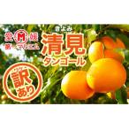 第一マルエムの清見タンゴール 5kg