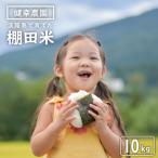 淡路島の棚田米 10kg
