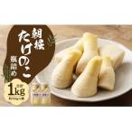 創業70年 美方屋厳選 朝掘たけのこ 瓶詰