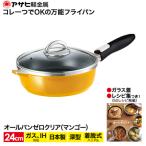 ショッピングふるさと納税 マンゴー ふるさと納税 加西市 期間限定寄附額 [ オールパンゼロクリア 24cm・マンゴー ] [No5698-0513]