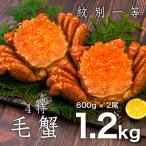 紋別一等~毛がに 600g×2尾