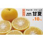 マルハラファーム 甘夏 10kg