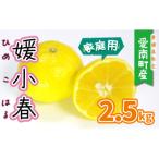 果樹園みどりの媛小春 2.5kg