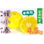 果樹園みどりの媛小春 4.5kg