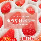 ふるさと納税 福島市 福島市産いちご ゆうやけベリー1箱12個(400g)2箱【2026年1月下旬より発送】No.2850
