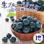 ふるさと納税 余市町 【7月中旬頃より発送】青果ブルーベリーおまかせ1種1kg(500g×2パック)_Y111-0010