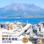 鹿児島満喫コース 桜島+ 内 セスナ172型