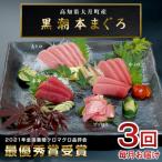 訳あり 不定貫 まぐろ 3回 定期便 本マグロ 食べ比べ