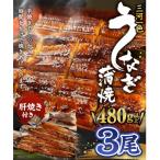 三河一色産 うなぎ蒲焼き 中3尾 肝串焼き 3本