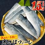 ふるさと納税 石巻市 さば 〈 訳あり 〉宮城県産 寒さば フィーレ 無塩 1.5kg 冷凍 魚 青魚 鯖 切身 不揃い