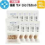 サメ ひとくちカット 60g×10袋