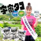 fu.... налог страна восток город космос .. есть страна восток город из доставка! питание высшая оценка мобильный еда [ космос осьминог ]3P_2337R