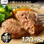 ふるさと納税 上士幌町 十勝ナイタイ和牛 100%ハンバーグ 120g×8個 北海道産 和牛肉使用