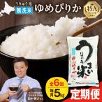 ふるさと納税 雨竜町 【R7新米!定期便全6回】うりゅう米 ゆめぴりか 無洗米 5kg(5kg×1袋)毎月1回お届け