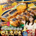 釧路名物 さんまんま 2本セット ご当地 さんま