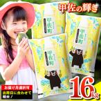 甲佐の輝き 精米16kg