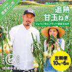 追熟甘玉ねぎ 10kg