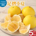 早川農園の足摺小夏 5kg