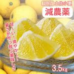 訳あり小夏3.5キロ 白浜農園の減農薬小夏
