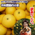 R9.4月中旬~ だけど じゃない 訳あり