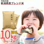 ふるさと納税 三条市 新潟県産ブレンド米 10kg(5kg×2袋) 令和6年産米 精米 [株式会社白熊]【010S455】