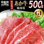 ふるさと納税 甲佐町 熊本県産GI認証 くまもとあか牛 焼肉用500g