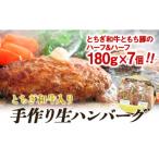 肉 ハンバーグ とちぎ和牛入り手作り生ハンバーグ