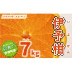 訳あり 伊予柑 7kg