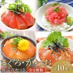 漬け丼 ねぎとろ丼4種 計10食