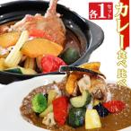 海土の食べ比べ カレー編 スープカレーと大人のカレー 各1袋