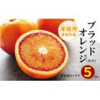 果樹園みどりのブラッドオレンジ 5kg